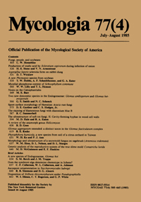 Cover image for Mycologia, Volume 77, Issue 4, 1985