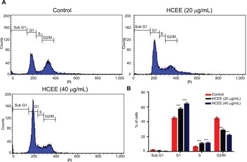 Figure 5 Effect of cell cycle distribution of HeLa cells exposed to different concentrations of HCEE (0–40 μg/mL) for 24 hours.Notes: (A) Flow cytometric analysis of cell cycle with PI DNA staining. (B) The percentage of cell cycle distribution in different phases of cell cycle. Data are represented as mean ± SD of three independent experiments. The significant differences in treated cells and the control group are shown by ***P<0.001.Abbreviations: HCEE, Hedychium coronarium ethanol extract; PI, propidium iodide.