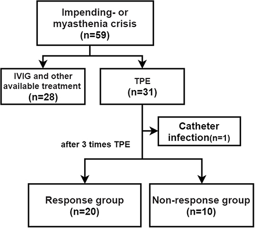 Figure 1 Flowchart of the study.