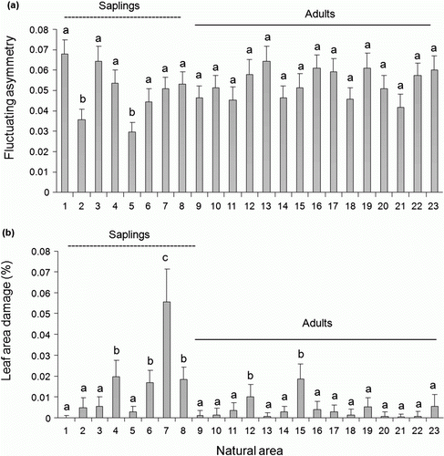 Figure 2.  Fluctuating asymmetry (A) and leaf area damage (B) between individuals that occur in natural area. Common letters identify means that were not statistically different according to LSMeans test (p>0.001) following ANOVA test. Error bars indicate SE.