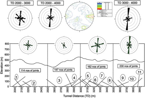 Figure 7. Stereographical projection and rosette diagram, an equal area lower hemisphere plot of great circles representing the average dip and dip directions of two discontinuity sets in a rockmass.