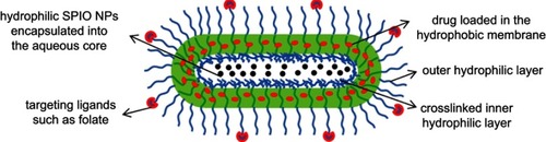 Figure 14 Illustration of the stable and tumor-targeting multifunctional wormlike polymer vesicles formed by triblock copolymers for targeted cancer chemotherapy and imaging. Reprinted from Biomaterials, 31(43),  Yang X, Grailer JJ, Rowland IJ, et al, Multifunctional SPIO/DOX-loaded wormlike polymer vesicles for cancer therapy and MR imaging, 9065–9073, Copyright 2010, with permission from Elsevier.Citation108