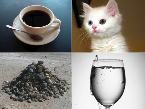 Figure 1. Sample visual display, Experiment 1, showing the likely object (water), verb-congruent competitor (coffee), agent-related competitor (cat), and unrelated competitor (rocks). This visual display was accompanied by the auditory stimulus “The dog will drink the … ” (constrained condition) or “Someone will drink the … ” (control condition).