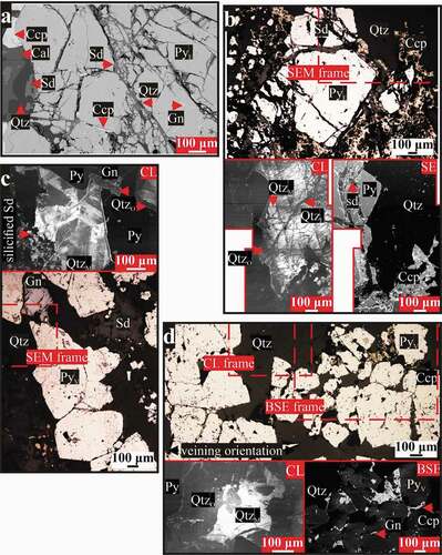 Figure 5. Collection of photomicrographs (reflected, plane-polarised light) and SEM imaging (BSE, CL, and SE) that illustrate the characteristics of different stages in the Shicheng deposit. Some reflected light photomicrographs are coupled with BSE, CL, and SE imaging of the approximate areas shown by the red dashed boxes. (a) BSE image shows micro-fractures in early pyrite sealed by siderite, quartz, and chalcopyrite. Note the intense degree of brittle deformation recorded by PyE in contrast to PyV in the same reactivated vein of (c), (b) Deformed, early pyrite with larger micro-fractures filled by siderite and quartz. The CL image reveals multiple quartz generations, (c) Open-space growth in the same reactivated vein of (a), and (d) Intergrowth of PyV with chalcopyrite and quartz in a sheeted style veining. Siderite-free etch-pits within PyV are filled by galena. Note the predominance of QtzO