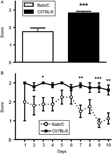 Figure 2.  Stress-induced alterations in defecation. During each restraint stress session, the faecal output was assessed using a scale ranging from 0 (no faeces) to 3 (diarrhoea). (A) Overall stress-induced diarrhoea was more common in C57BL/6 mice (*p < 0.005 by t-test). (B) An analysis of the daily defecation response shows that towards the end of the experiment the defecation score for BALB/c mice was close to 1, whereas scores for C57BL/6 mice remained high (close to a score of 3) throughout the experiment. Asterisks indicate differences between strains on a particular day (*p < 0.05; **p < 0.01; ***p < 0.005 by two-way ANOVA and Bonferroni test). Data are expressed as mean ± SEM; n = 6–8.