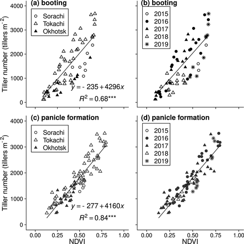 Figure 6. Relationship between tiller number and normalized difference vegetation index (NDVI) at the stages of (a and b) booting and (c and d) panicle formation. (a) and (c) show the difference among regions, and (b) and (d) show the difference among years. Solid lines indicate the linear regression line and asterisks beside the coefficient of determination indicate the P-value of the regression equation (*** P < 0.001)