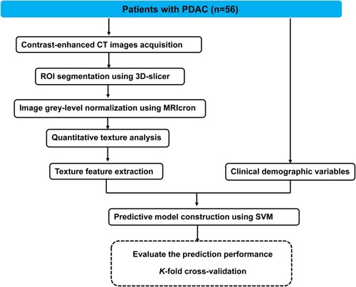 Figure 2 Analysis flowchart.Abbreviations: PDAC, pancreatic ductal adenocarcinoma; CT, computed tomography; ROI, region of interest; SVM, support-vector machine.