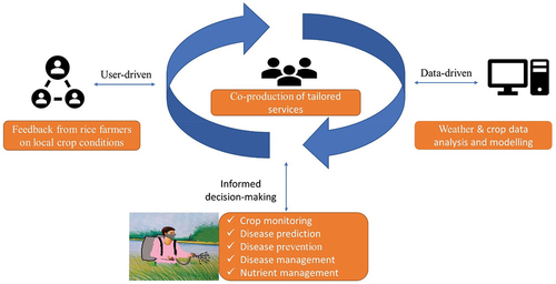 Figure 8. Conceptual framework of future weather and climate information services to forecast and manage rice diseases. Source: Authors.