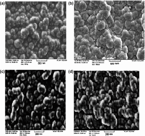 Figure 6 SEM of (a) PN3APS synthesized by interfacial polymerization, (b) copolymer of Py/ N3APS (30/70) synthesized by interfacial polymerization, (c) PN3APS synthesized by ultrasonic method, and (d) copolymer of Py/ N3APS (30/70) synthesized by ultrasonic method.