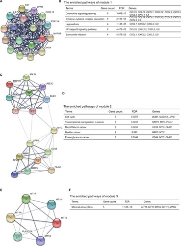 Figure 4 The top three modules from the protein–protein interaction network.Notes: (A) Module 1; (B) the enriched pathways of module 1; (C) module 2; (D) the enriched pathways of module 2; (E) module 3; (F) the enriched pathways of module 3.Abbreviation: FDR, false discovery rate.