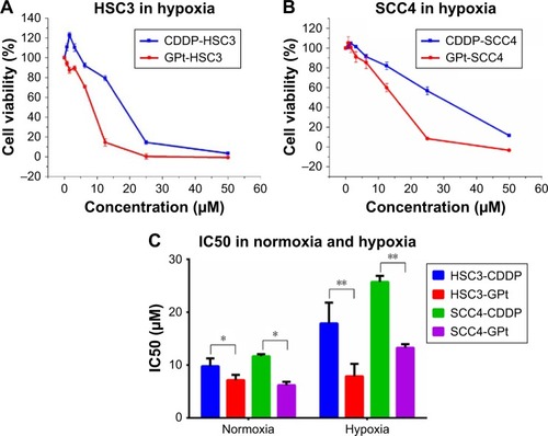 Figure 5 CCK-8 assays of HSC3 (A) and SCC4 (B) cells treated with free CDDP and GPt. (C) IC50 values of HSC3 and SCC4 cells treated with CDDP or GPt under normoxia or hypoxia condition, respectively. *p<0.05; **p<0.01.Abbreviations: CDDP, cisdiamminedichloroplatinum (II); CCK-8, cell counting kit; IC50, half maximal inhibitory concentration; GPt, polyethylene glycol-graphene quantum dots-Pt.