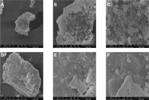 Figure 6 Field emission scanning electron microscopic images of Mg/Al-LDH (A–C) and PMAE (D–F).Abbreviations: PMAE, perindopril intercalated into Mg/Al by ion-exchange; Mg, magnesium; Al, aluminum; LDH, layered double hydroxide.