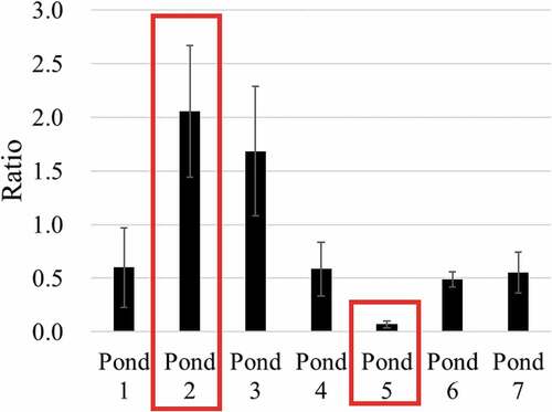 Figure 10. Ratio of specific activity on the surface of the sedimentary soil to that on the surface of the soil around each pond (The ratio is calculated by “the mean value of the specific activity of the surface of the sedimentary soil”/“the specific activity of the surface of the soil around the pond”, and error bars are standard error.)