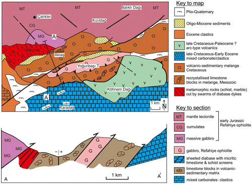 Figure 19. Outline tectonic map and cross-section of the area SW of Erzincan. A thrust sheet of plutonic rocks belonging to the Refahiye Ophiolite is structurally underlain by an unusual unit that is made up of metamorphic rocks (e.g. marble and schist), cut by swarms of diabase dykes. Ophiolitic gabbro and the volcanic-sedimentary melange are thrust over Late Cretaceous–Eocene arc-related volcanic rocks (Karadağ Massif) further south (see Figure 3; compiled from Tarhan (Citation2008), Rice et al. (Citation2006) and this study).