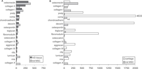 Figure 2 Quantitative analysis of gene expression levels of selected genes (signal intensity above 15% in IVD tissue, except collagen type X, which was negative). Spheroid cultures of MSCs 2 weeks after TGF-mediated induction (n = 7) were compared with IVD tissue (n = 6) A) and articular cartilage tissue (n = 5) B). The signal intensities were normalized to the gene expression levels of the housekeeping genes on each filter. The medians of independent experiments are shown and expressed as relative values in percent of the housekeeping genes. Copyright © 2005. Reproduced with permission from CitationSteck E, Bertram H, Abel R, et al 2005. Induction of intervertebral disc-like cells from adult mesenchymal stem cells. Stem Cells, 23:403–11.