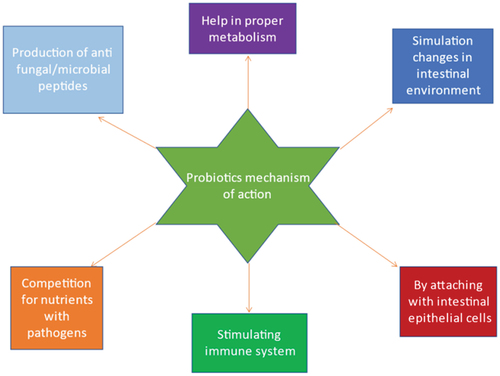 Figure 1. Mechanism of actions of probiotics.
