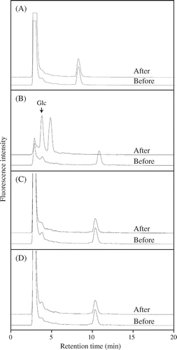 Fig. 3. Action of the Trichoderma enzyme, barley rGI and rGII on oligosaccharides prepared from β-1,3:1,4-glucan.