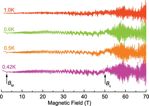 Figure 1. (colour online) Magnetic susceptibility (with arbitrary units) as a function of magnetic field at various temperatures for . Data are equally shifted for comparison. and mark the critical fields for the metamagnetic transition and the AF transition, respectively.