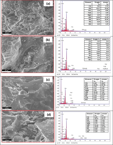 Figure 16. EDS spectrum of untreated brick sand nanoparticles(a), untreated brick sand nanoparticles adsorbed Pb (b), untreated brick sand nanoparticles adsorbed Cd (c), untreated brick sand nanoparticles adsorbed Cr (d).