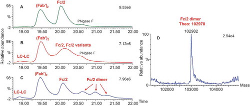 Figure 6. Total ion chromatograms of the three fractions and deconvoluted masses of the Fc/2 dimer in fraction 3 after IdeS/PNGase F/CpB digestion. (A) Ion chromatograph of fraction 1; (B) ion chromatograph of fraction 2; (C) ion chromatograph of fraction 3; (D) deconvoluted mass of Fc/2 dimer in fraction 3.