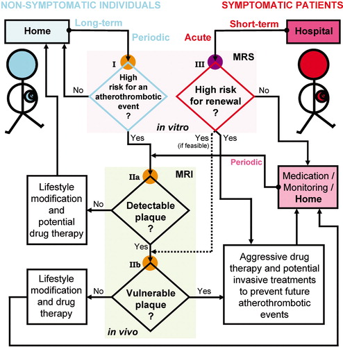 Figure 1. A potential scheme utilizing magnetic resonance(MR) methodologies in the risk assessment of long‐term risk for atherothrombotic events (non‐symptomatic individuals) and of short‐term risk for recurrent cardiovascular events after an experienced acute coronary syndrome (ACS) (symptomatic patients). At risk assessment point I the molecular constituents of serum, including lipoprotein subclasses, could be assessed by in vitro1H magnetic resonance spectroscopy (MRS) metabonomics for non‐symptomatic individuals. If high long‐term risk for atherothrombotic events is indicated, non‐invasive in vivo magnetic resonance imaging (MRI) could follow for the potential detection of plaque (risk assessment point IIa) and subsequent compositional evaluation of the vulnerability of the detected plaque(s) for rupture or erosion (IIb). Depending on the outcome from the plaque detection and assessment by MRI the individual could accordingly be directed for further actions. If vulnerable plaque at point IIb would be detected, considerations for aggressive drug therapy or invasive therapies such as angiographic stenting or bypass surgery would be needed. In the case of an individual with an experienced ACS (III) in vitro1H MRS metabonomics could be used to complement the clinical protocols when evaluating the risk for recurrent cardiovascular events and the proper individual treatment options. For some symptomatic patients in vivo MRI might also be feasible at point III for direct assessment of plaque composition and vulnerability. This scheme can be seen as one option to elucidate the potential of MR in detecting individual intermediate atherothrombotic end‐points and utilizing their prognostic value before the occurrence of a definite end‐point. The recent MR findings and developments summarized in this review awaken confidence that this kind of scheme might be operational in the near future saving both human suffering and societal health costs.