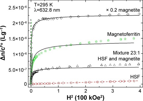 Figure 12 Reduced linear magnetic birefringence.Notes: HSF, synthetic magnetoferritin (loading factor 1,250), magnetite, and a mixture of HSF and magnetite (Fe weight proportion 23:1) versus the square of the applied magnetic field – HCitation2. Dashed line indicates the low-field region in which the Cotton–Mouton (CCM) constant was determined (ie, Δn=CCMλHCitation2, where λ is light wavelength and H magnetic field intensity); solid line represents the best fit for the Langevin function. Reprinted from J Magn Magn Mater. Vol 323. Koralewski M, Pochylski M, Mitroova Z, Timko M, Kopcansky P, Melnıkova L. Magnetic birefringence of natural and synthetic ferritin. Pages 2413–2417. Copyright 2011, with permission from Elsevier.Citation139Abbreviation: HSF, horse-spleen ferritin.
