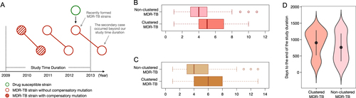 Fig. 3 Recently formed MDR-TB strains would decrease the ratio of compensatory mutations in the nonclustered MDR-TB group.a A theoretical scheme shows that recently formed MDR-TB strains would be included, while the secondary clustered strains resulting from transmission would occur outside of the study’s observation period. Thus, newly formed MDR-TB strains would be assigned to the nonclustered group. This schematic diagram also shows that transmission that occurred within the first 2 years will be captured in our study, while the secondary cases resulting from transmission that occurred during the last 2 years could be beyond the study’s observation period. b Comparison of the number of drugs to which strains are resistant in clustered and nonclustered MDR-TB strains. c Comparison of the number of drug-resistance mutations in clustered and nonclustered MDR-TB strains. d Comparison of collection time distribution between clustered and nonclustered MDR-TB groups; the collection time of each isolate was counted as “days to the end of the study duration (31 December 2012)”