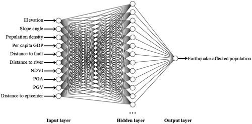 Figure 7. BP neural network structure diagram.