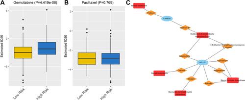 Figure 9 Drug sensitivity analysis and potential compound prediction. (A) IC50 values of gemcitabine in high- and low-risk groups. (B) IC50 values of paclitaxel in high- and low-risk groups. (C) The prognostic gene-compound-pathway network consisting of 15 nodes and 18 edges. Red rounded rectangles represent functional pathways, yellow diamonds indicate compounds, and light blue ovals indicate prognostic genes.