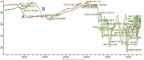 Figure 2. FTIR spectra of GM (A) and physical mixture of GM with Chitosan, Poloxamer 407 (B).