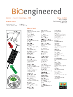 Cover image for Bioengineered, Volume 5, Issue 4, 2014