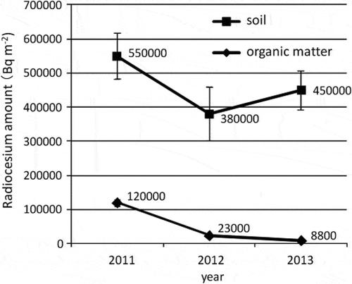 Figure 3 Changes in the radiocesium amount (134Cs + 137Cs) in the soil and organic matter on the soil surface under the canopy. Values are means of samples collected from sites under the canopy of three bushes. Bars indicate standard error of the mean.