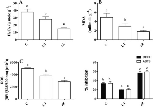 Figure 11. Determination of damage marker such as H2O2(A), MDA (Malondialdehyde, lipid peroxidation marker) (B) and ROS (reactive oxygen species) (C) and DDPH and ABTS inhibitory activities (D) in the plants of Z. mays after been exposed to cZ (5 µM) or and its inhibitor – lovastatin – LT (5 µM). Data are mean from 3 independent experiments with standard error bars. Bars labeled with different letters are significantly different (Duncan’s test; p < 0.05). Experiment was performed at least times in triplicates for validation.