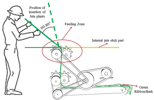 Figure 1. Illustration of manual operation of developed gender-friendly power ribboner.