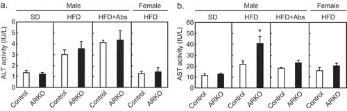 Figure 3. Effects of androgen receptor knockout (ARKO) on plasma transaminase levels in male mice. Control mice and ARKO mice were fed either a standard (SD) or a high-fat diet (HFD) and up to 20-weeks of age, as previously described.Citation27 Levels of (a) plasma alanine aminotransferase (ALT) and (b) plasma aspartate aminotransferase (AST) were measured using a Transaminase CII-test Wako (Wako, Osaka, Japan). SD male experimental groups included control (n = 5) and ARKO (n = 6). HFD male experimental groups included control (n = 18) and control treated with antibiotics (n = 9, Abs), ARKO (n = 12), and ARKO treated with antibiotics (n = 10). HFD female experimental groups were control (n = 5) and ARKO (n = 7). Data were expressed as mean ± SEM, and the threshold for statistical significance was set at p < .05, *.