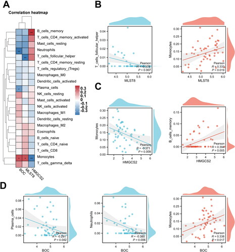 Figure 11. Correlation between the hub mRNAs from the CeRNA network and different immune cells. (A–D) Pearson’s correlation shows correlation between the hub mRNAs from the CeRNA network and different immune cells (*p < 0.05, **p < 0.01).