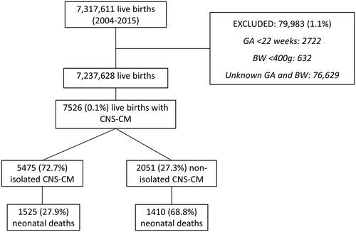 Figure 1. Flowchart of included infants. CNS-CM: congenital malformation of central nervous system; GA: gestational age; BW: birthweight.
