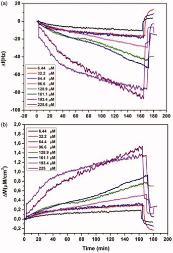 Figure 5 Real-time responses of MIP QCM biosensor against aqueous solutions of l-histidine at different concentrations in 10 mM phosphate buffer, pH 7.4 at a flow rate of 1.0 mL/min, (a) frequency change, (b) mass change.