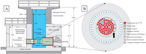 Figure 1. (A) Side view of the JSI TRIGA Mark II research reactor. The ladder with sampling slides was positioned close to wall on the left-hand side of this schematic, indicated by a full black vertical line. See Figure 2 for photograph of the glass slides. (B) Schematic figure of the JSI TRIGA reactor core. Channel F26 is located in the outer ring of JSI TRIGA core (black arrow).