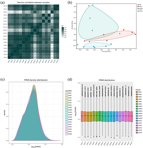 Figure 2. A: Pearson’s correlations among samples based on expression levels. B: Principal component analysis of 18 samples based on expression levels. C: Density plot displaying the gene density at different FPKM levels. D: Box plot of the FPKM distribution among the 18 samples. SHRW: white adipose tissue of spontaneously hypertensive rat, SHRWT: white adipose tissue of TMAO treated spontaneously hypertensive rat, WYKW: white adipose tissue of WYK.