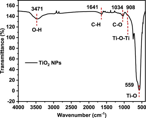 Figure 3. TiO2 NP formation is confirmed by the creation of Ti–O–Ti and Ti–O vibration bonds.