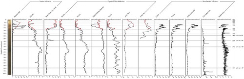 Figure 4. Stratigraphic plot of sedimentology and geochemistry for Lake Rotokawau cores RK2 and RK3.