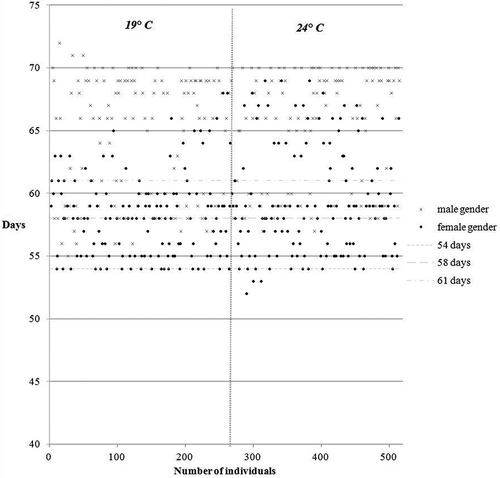 Figure 1. Correlation influence of time and temperature on the rate of metamorphosis and gender-converted individuals.