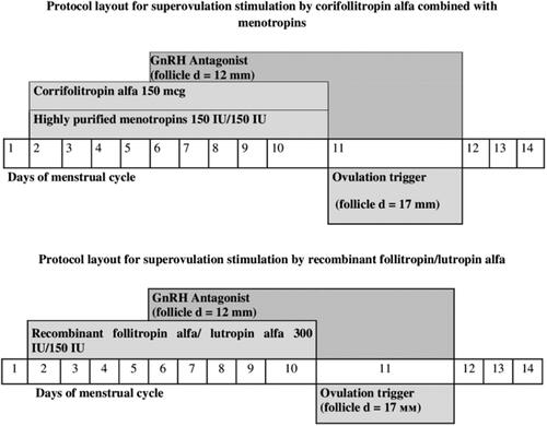 Figure 1. Ovarian stimulation protocol layouts.