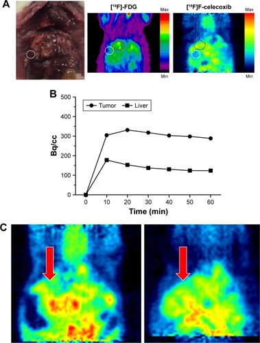 Figure 7 (A) Selected PET images taken of two F18-tagged ligands in the same.