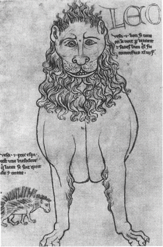 FIGURE 1 Villard de Honnecourt: Lion et Porcupine. C. 1235. Pen and ink. (From Gombrich, E. H. [2000]. Art and Illusion. Princeton, NJ: Princeton University Press; pp. 176–177.)