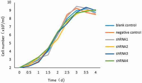 Figure 2. Growth curves of all groups. Compared with the blank control group, the growth curve of cells in each group was roughly parallel. The growth period was from 1 to 2 days, after 3 to 4 days cells turned into the period of growth platform.