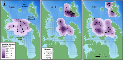 Figure 5. Annual relative densities of Bryde’s whales in the inner Hauraki Gulf (IHG) in 2010–2012 and off Great Barrier Island (GBI) in 2011–2012. Darker shading represents higher density cells. The sighting position of each Bryde’s whale group is indicated according to season. Bathymetry is depicted with darker shades of blue representing deeper waters (data courtesy of NIWA; Mackay et al. Citation2012). The 5 × 5 km grid is also shown.