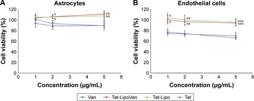 Figure 8 Cell viability after treatment with Van, Tat-LipoVan, Tat-Lipo, and Tat alone.Notes: (A) Astrocyte cells after 24 hours. *P<0.05 versus free Van (2 µg/mL); **P<0.05 versus free Van (5 µg/mL). (B) Endothelial cells after 24 hours. *P<0.05 versus free Van (1 µg/mL); **P<0.05 versus free Van (2 µg/mL); ***P<0.05 versus free Van (5 µg/mL).Abbreviations: Van, vancomycin; Tat-LipoVan, Tat-functionalized Van-loaded liposomes.