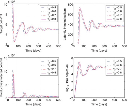 Figure 4. Effect of different time delays (τ2) on the dynamics of model (Equation1(1) dTdt=s−dTT−βVT,dLdt=fβV(t−τ1)T(t−τ1)e−δ1τ1−δLL−αL,dIdt=(1−f)βV(t−τ2)T(t−τ2)e−δ1τ2−δI+αL,dVdt=NδI−cV.(1) ). The delay τ2 was chosen to be 0.5, 0.6, 0.7, or 0.8 days, and the delay τ1 was fixed at 0.25 days. All the other parameter values are the same as those in Figure 1.